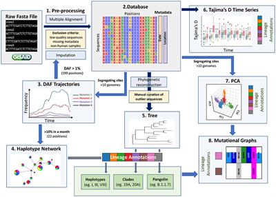 Population Genomics Approaches for Genetic Characterization of SARS-CoV-2 Lineages